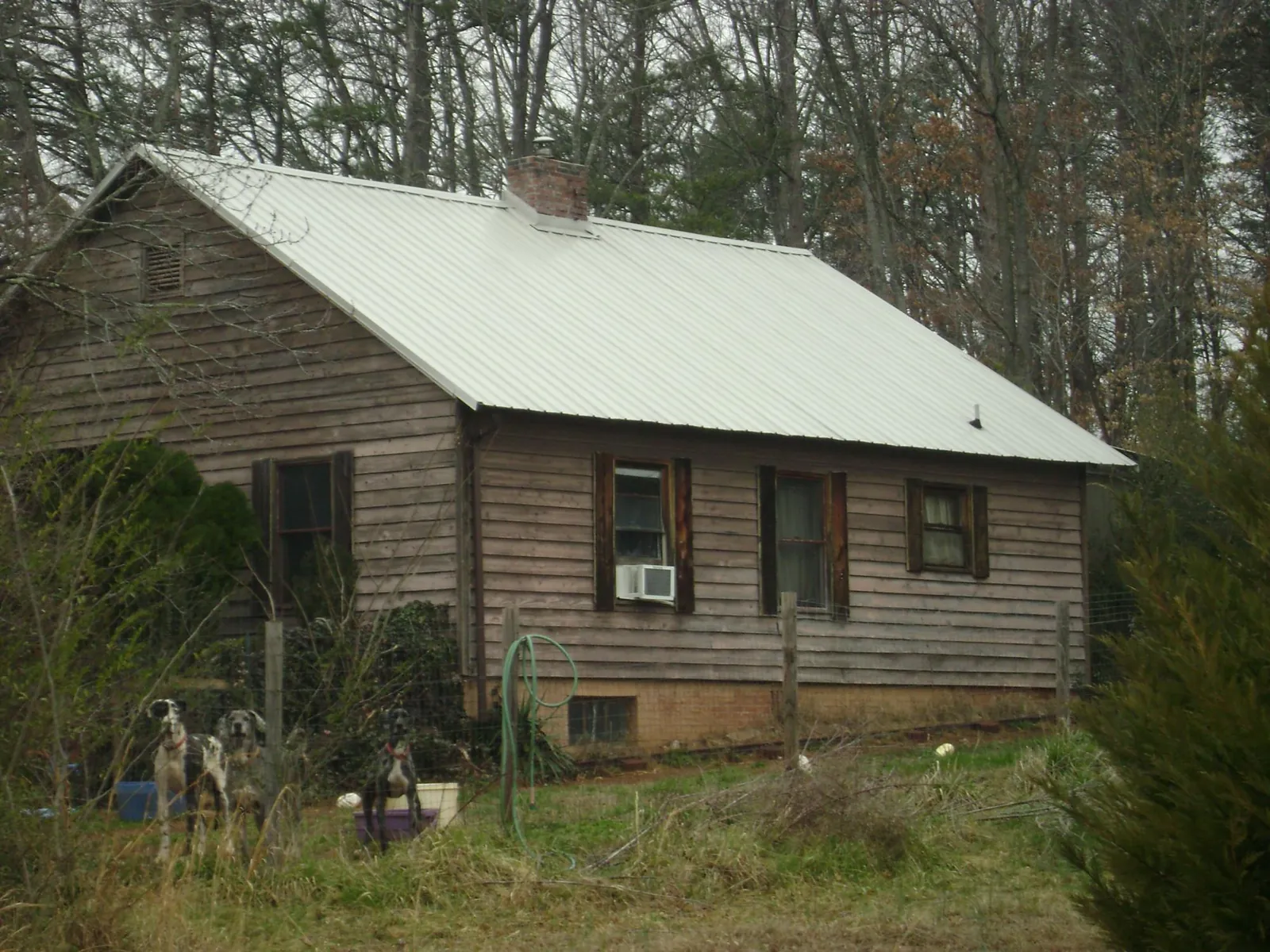 White metal roof on an old wood sided farmhouse, from a Asphalt Shingle Roof Repair job in Edgerton